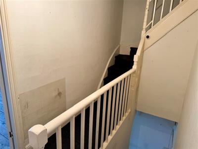Picture 7